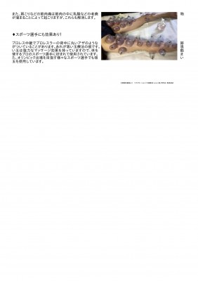 吸い玉療法について（張莉）-2
