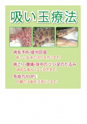 吸い玉療法について（張莉）-3