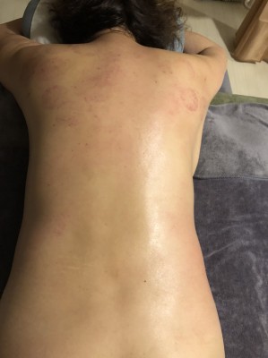 S__11632647