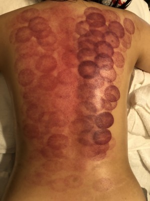 S__11632659